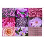 Purple / Pink Photo Collage Greeting Cards