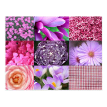 Purple / Pink Photo Collage Post Card