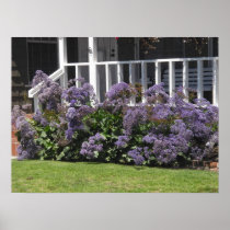 Purple Porch Garden Poster