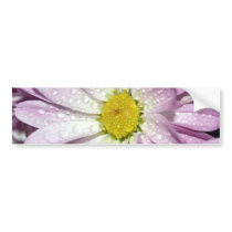 Purple Potted Mum Bumper Sticker