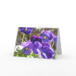 Purple Prose cards