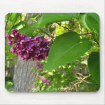 "Purple-Red Lilacs" Mousepad