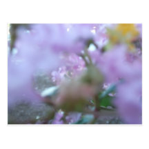 Purple Redbuds Abstract Post Card