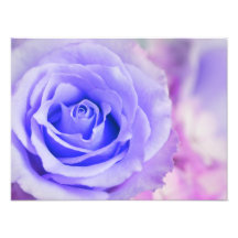 Purple Rose Background Customized Template Photographic Print