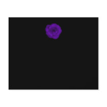 Purple Rose. Black Background. Flyer