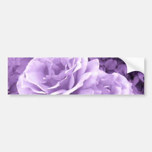 Purple Rose_ Bumper Sticker