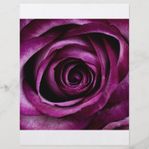 Purple Rose Flyer