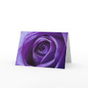 Purple Rose notecard
