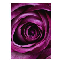 Purple Rose Personalized Invites