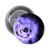 Purple Rose buttons
