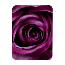 Purple Rose Rectangular Magnets