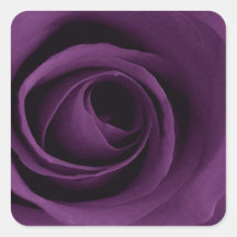 Purple Rose Square Sticker