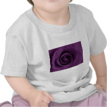 Purple Rose T Shirt
