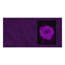 Purple Rose. With Black and Dark Purple. Personalized Photo Card