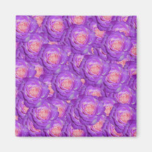 Purple roses refrigerator magnet
