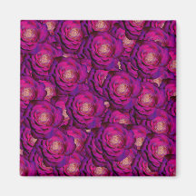 Purple roses refrigerator magnet