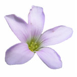 Purple Shamrock ~ acrylic Acrylic Cut Out