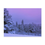 Purple Sky Post Card