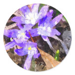 Purple Snow Glories stickers