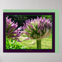 Purple Spike Flower Blooms Photo Poster