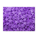Purple Star Cereal postcards