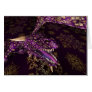 Purple Star Dragon Card