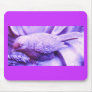 Purple Statuary Bird Mouse Mats