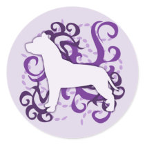 Purple Swirl American Pit Bull Terrier