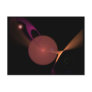 Purple Tangerine Postcard