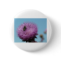 purple thistle with bee pins