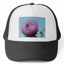 purple thistle with bee hat