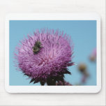 purple thistle with bee mouse pads