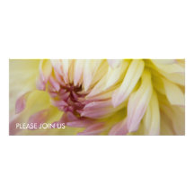 Purple Tipped White Dahlia DSC4481 Custom Invitation