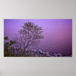 Purple Tree fine art print