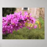Purple Tree posters
