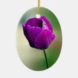 Purple Tulip Christmas Tree Ornaments