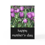 purple tulip mothers day