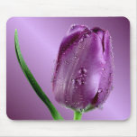 purple tulip with raindrops mouse pad