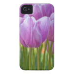 Purple Tulips Blooming in Spring Case-mate Iphone 4 Cases