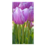 Purple Tulips Blooming in Spring Photo Cards