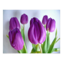 Purple Tulips Invitations
