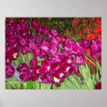 Purple Tulips Print