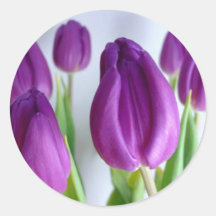 Purple Tulips Round Sticker