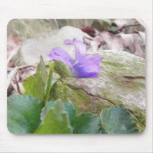 Purple Violet In The Rock Garden Mousepad