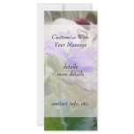 Purple Violet In The Rock Garden Rack Cards