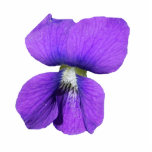 Purple Violet pin photo sculptures