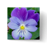 Purple Violet-Upclose buttons