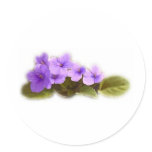 purple violets - customizable round sticker