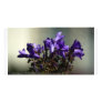 Purple Wall Flowers Personalized Photo Card