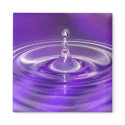 Purple Water Drop magnets